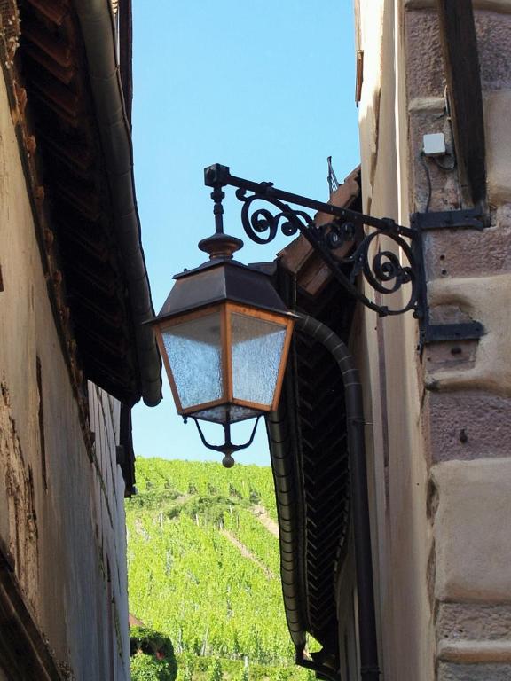 Les Ambrades Riquewihr – photo 27
