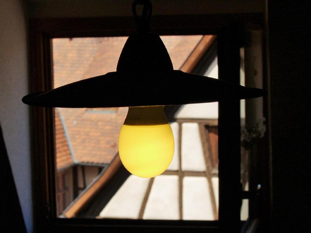 Les Ambrades Riquewihr – photo 21