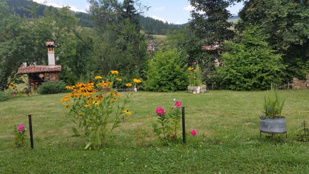 Zahrada ubytování Mechta Guest House