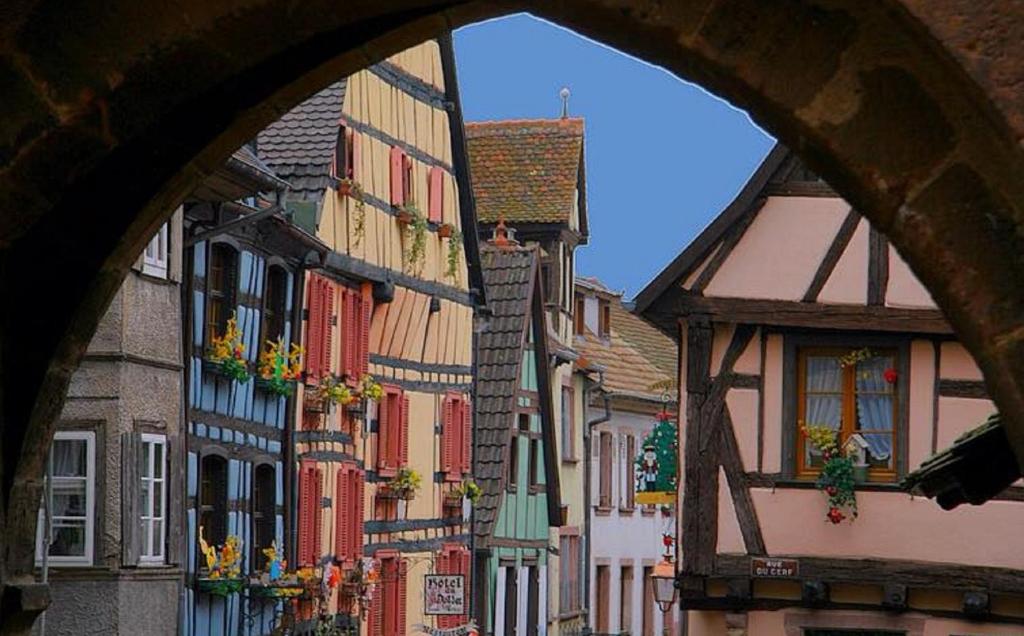 Les Ambrades Riquewihr – photo 32