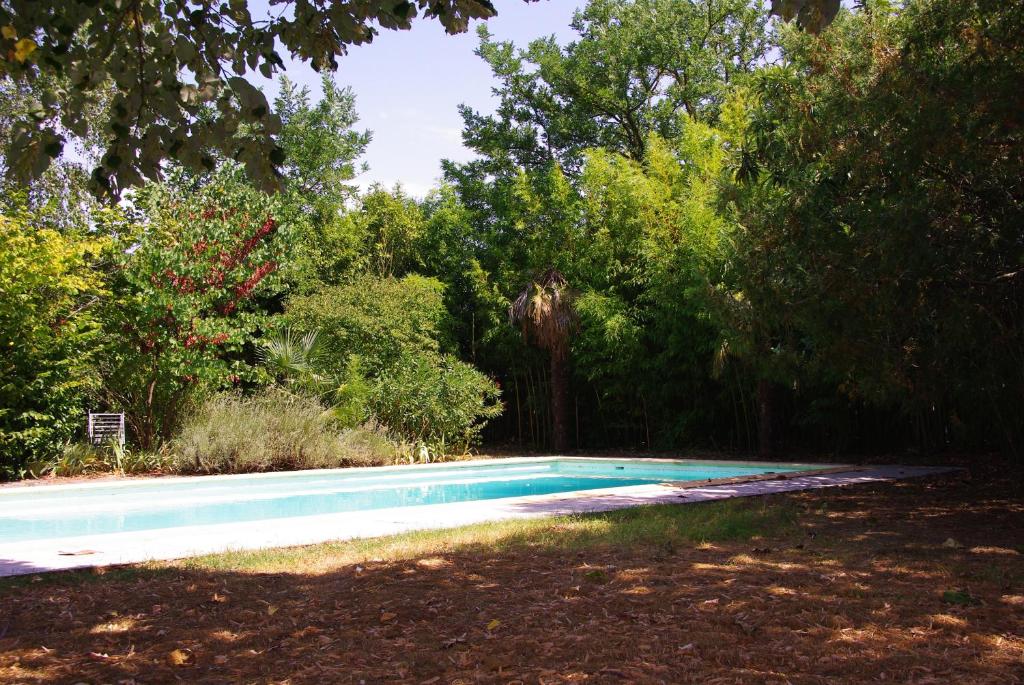 - une piscine au milieu d'une cour arborée dans l'établissement la maison bleue, à Vallon-Pont-dʼArc