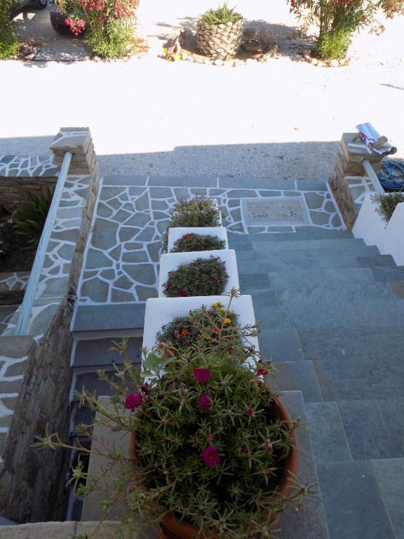 A garden outside Studios Strouvalis
