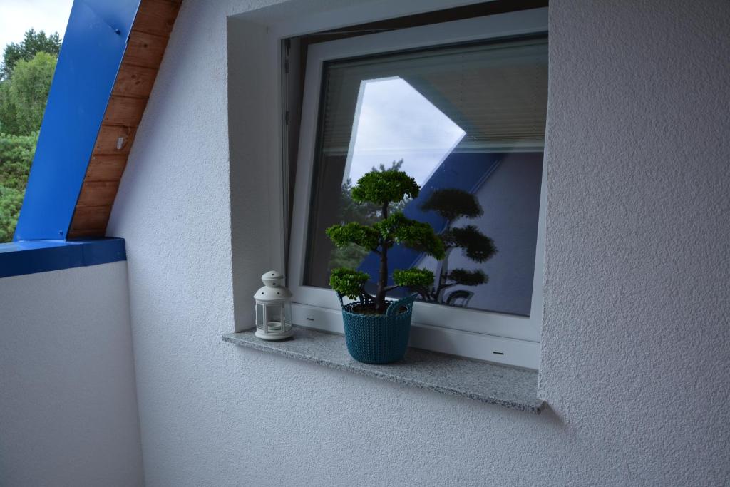 Balkón nebo terasa v ubytování Dla Ciebie Łukęcin