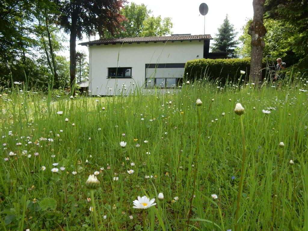 a field of grass with white flowers in front of a building at Haus am Wald in Lissendorf