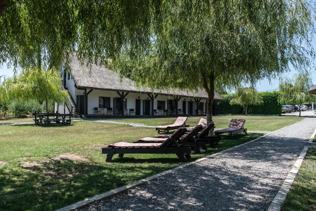 Zahrada ubytování Casa Patru Anotimpuri