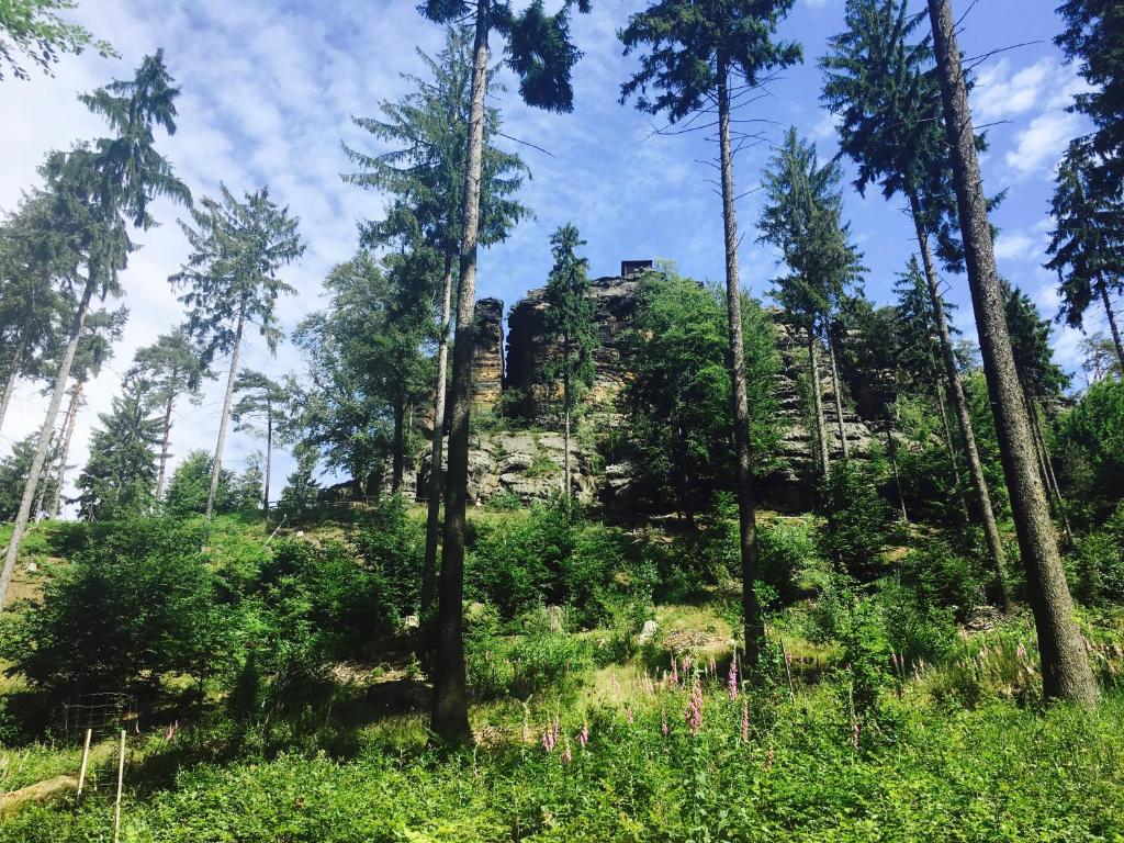 Příroda nedaleko apartmánu