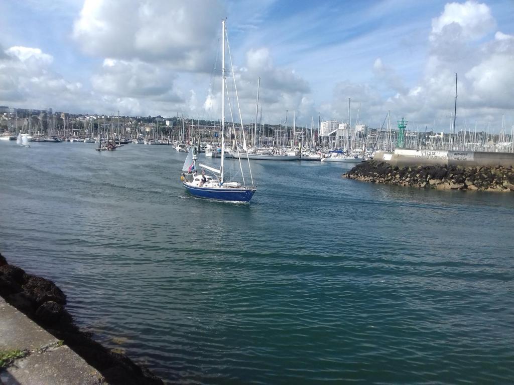 a sailboat in the water in a harbor at Chambres d'Hotes Elvire et Laurent Barbey in Sainte-Marie-du-Mont