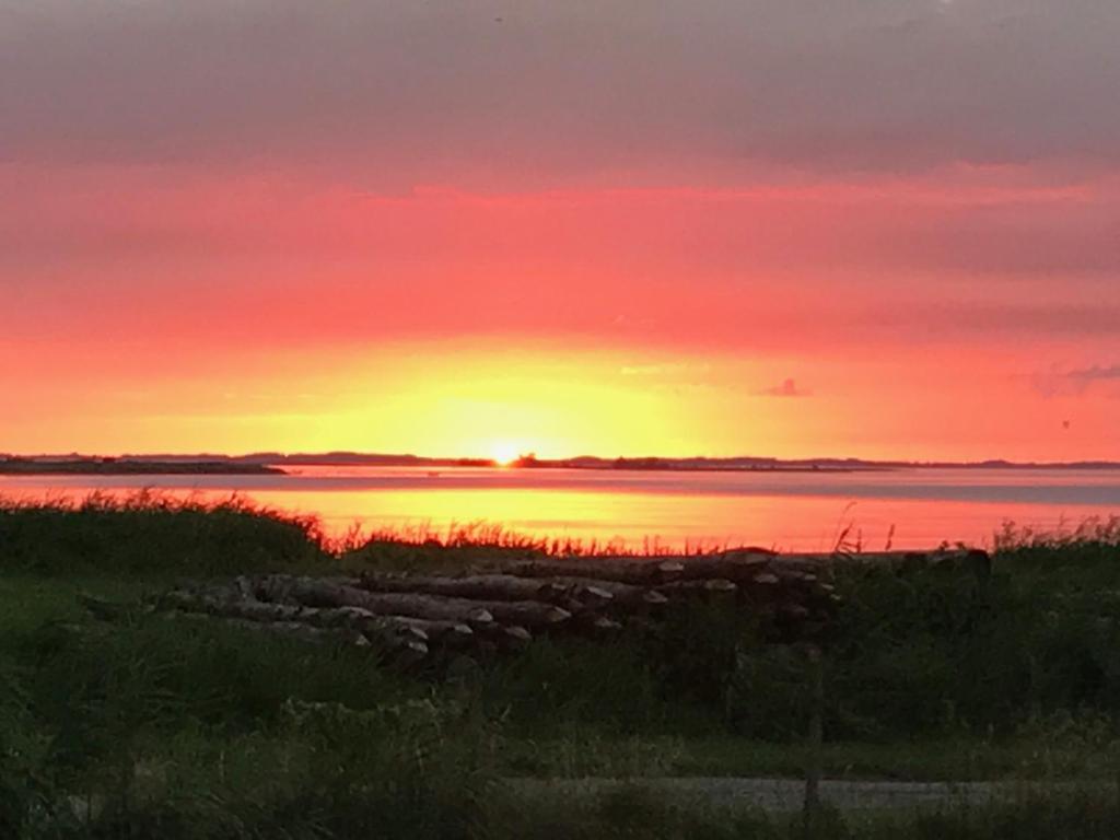 Náttúran í nágrenni sveitagistingarinnar