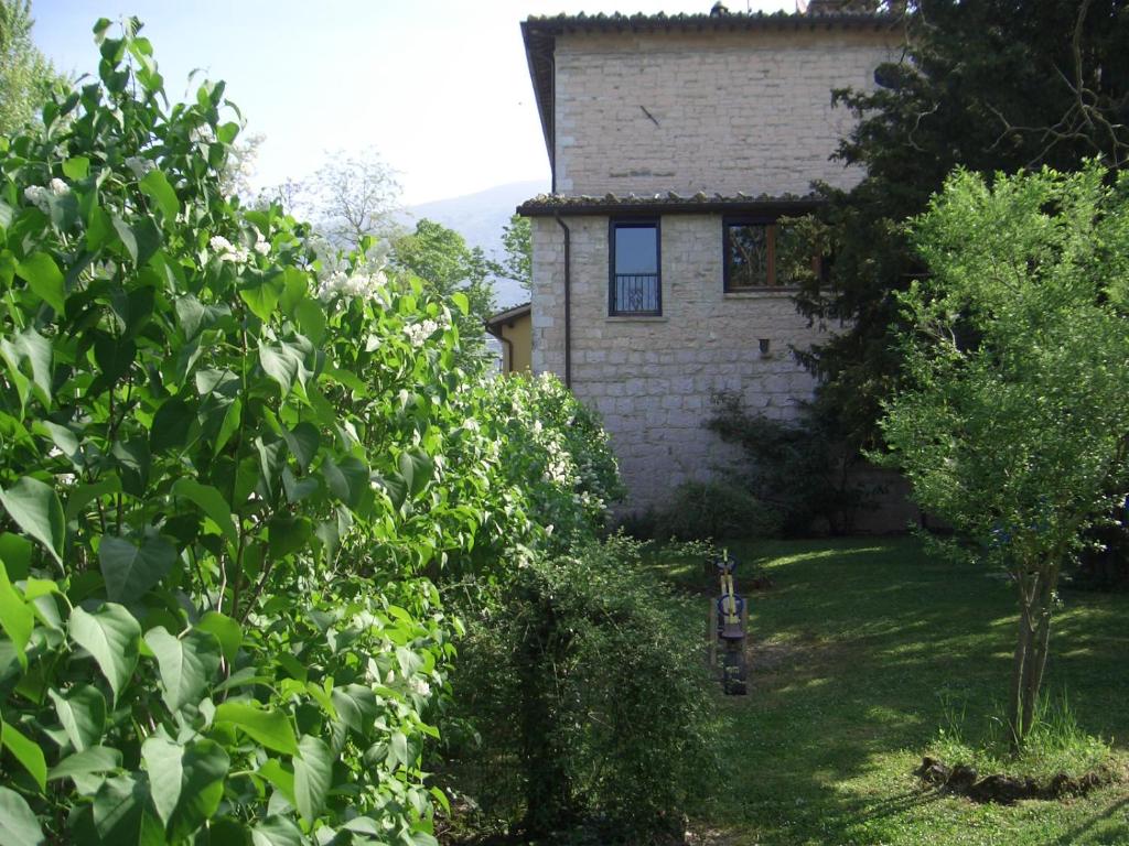 A garden outside Villa Pascolo