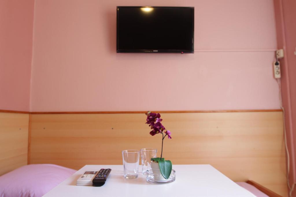 TV a/nebo společenská místnost v ubytování Motel Han