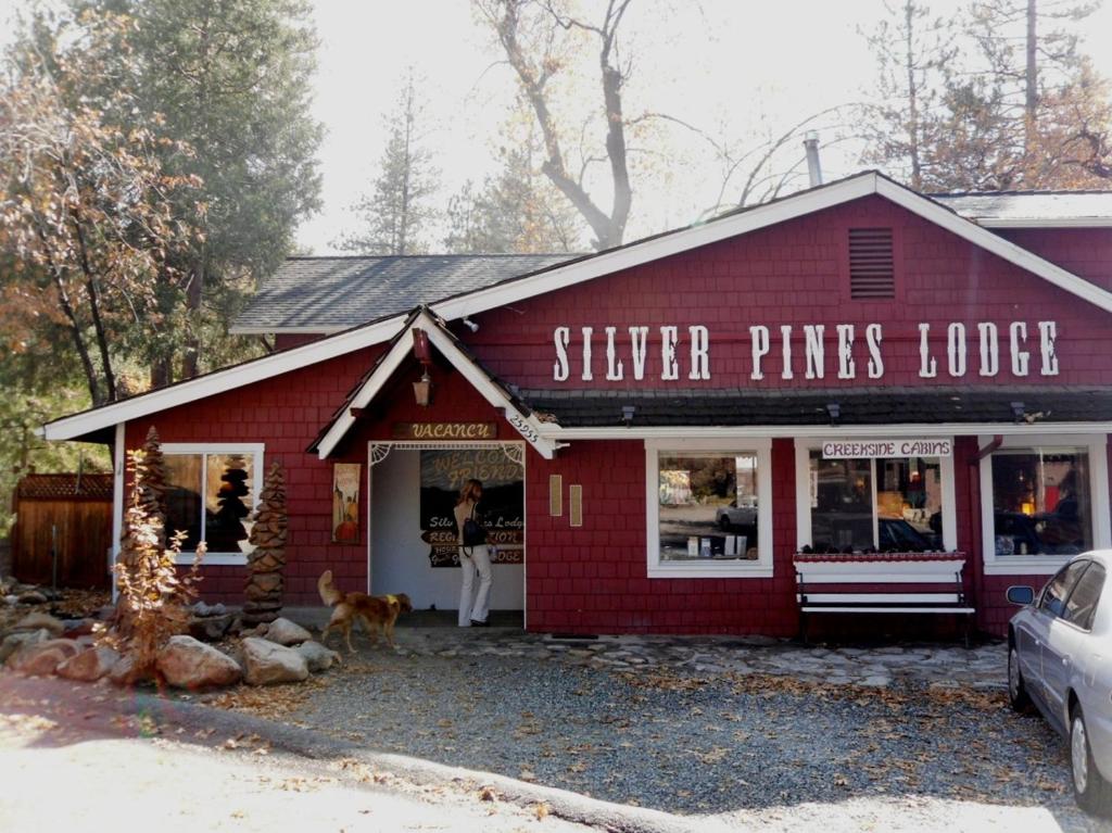 a woman standing outside of a store with a dog in front at Silver Pines Lodge in Idyllwild