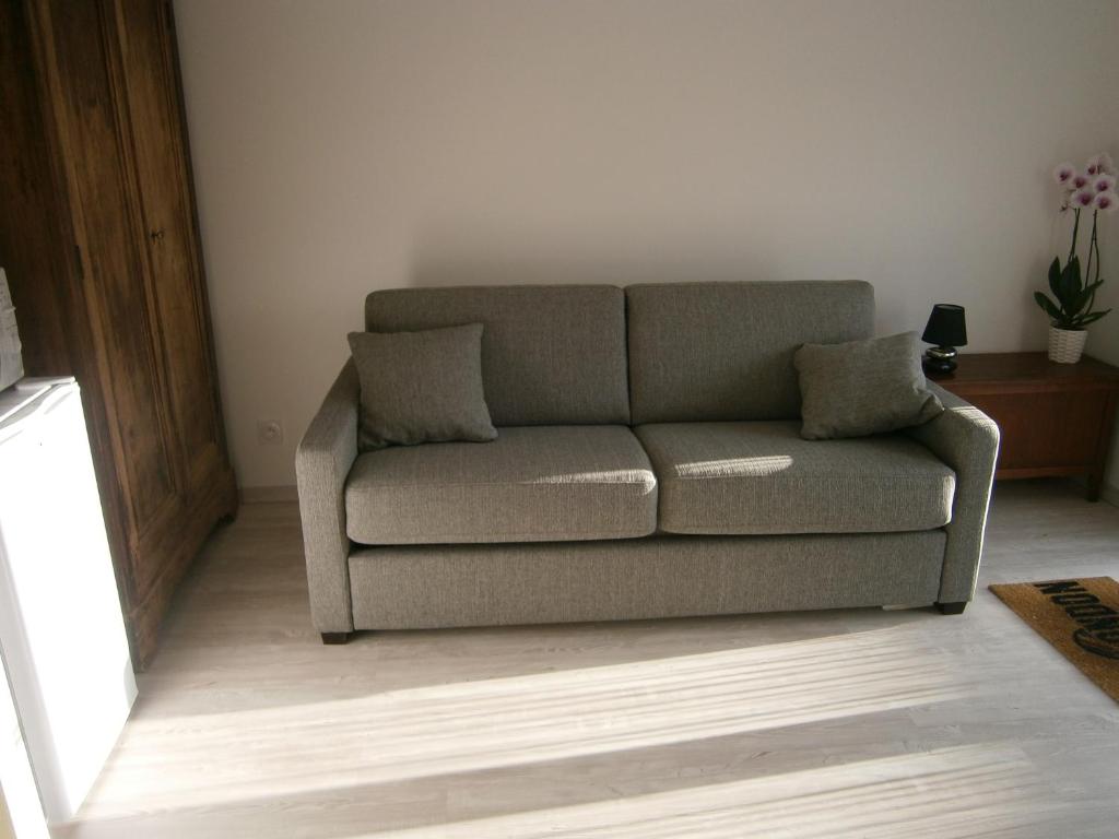 a living room with a couch in a room at Chez Elisa in Chinon