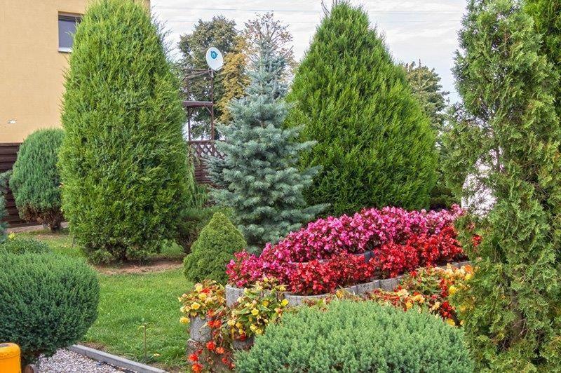 Vonkajšia záhrada v ubytovaní Hotel Paola