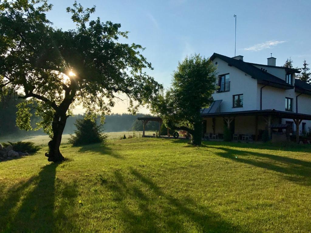 una casa en un campo con un árbol delante en Villa Podlachia en Wierzbice Górne