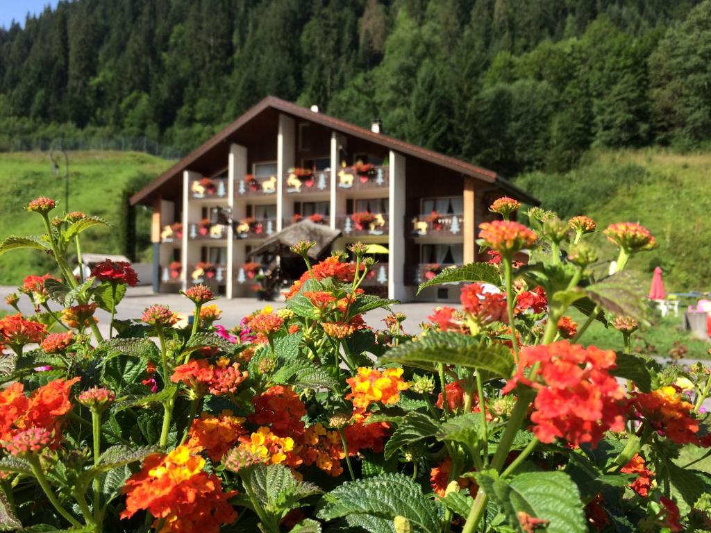 Gallery image of Au Bois de Lune in Châtel