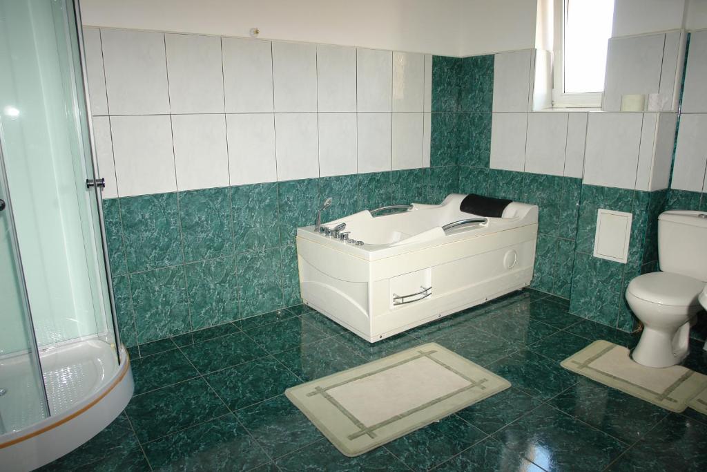 Koupelna v ubytování Pensiunea Casa Benko
