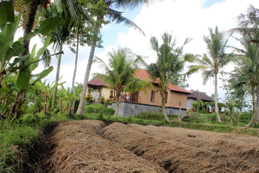 Maha Neka Villa - 11