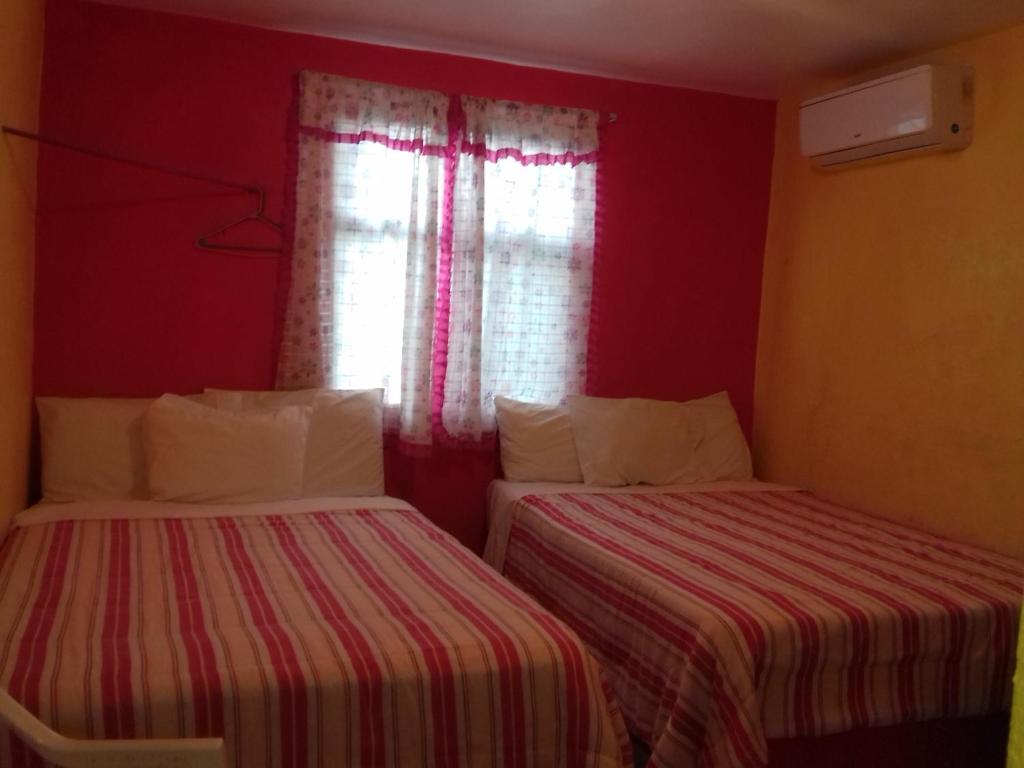 two beds in a room with red walls and a window at Hotel Economico in Xilitla