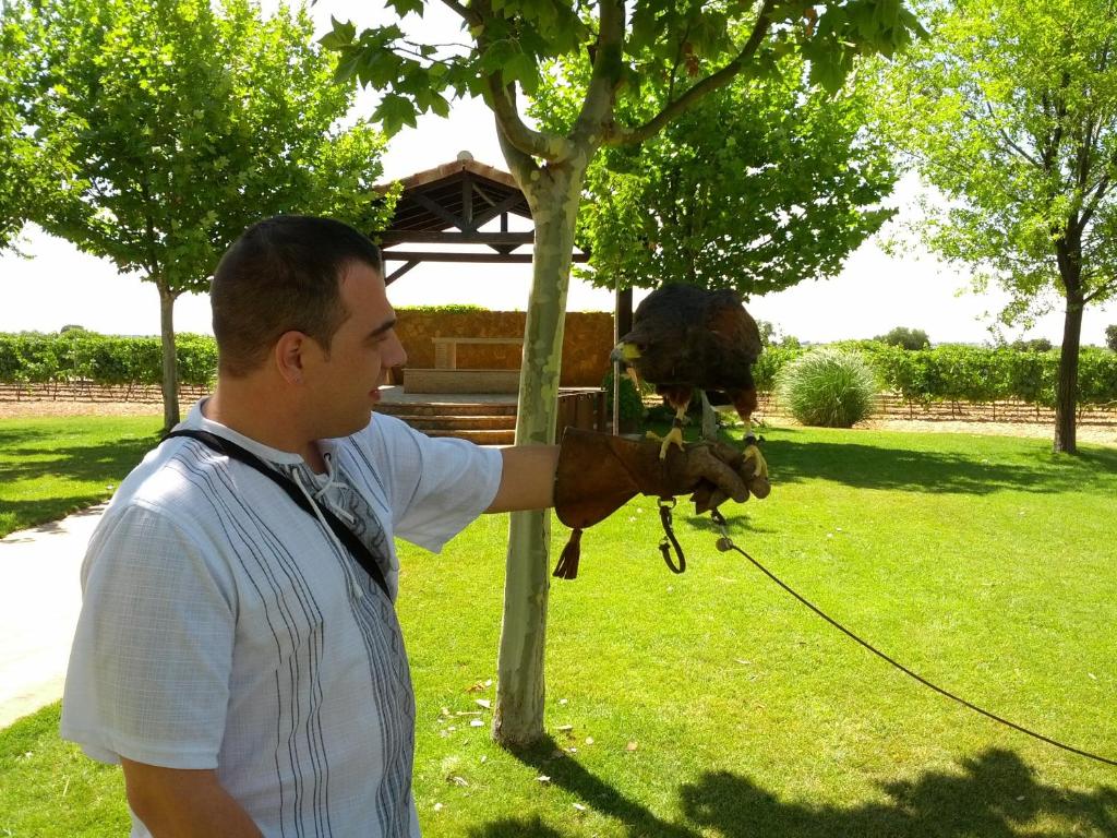 Hosté ubytování Finca El Encinar