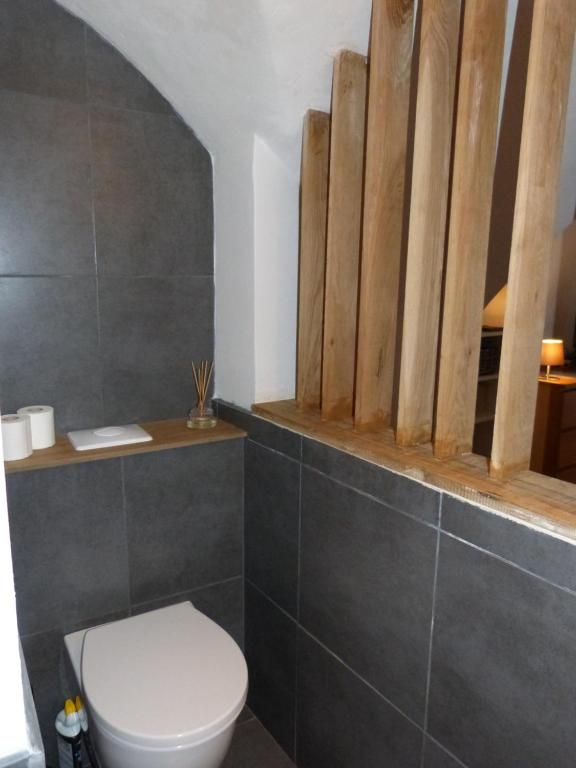 ein Bad mit einem weißen WC in einem Zimmer in der Unterkunft le tilleul in Villevieille