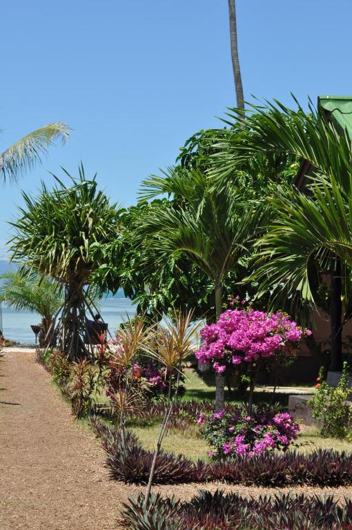 Phangan Beach Resort - 4