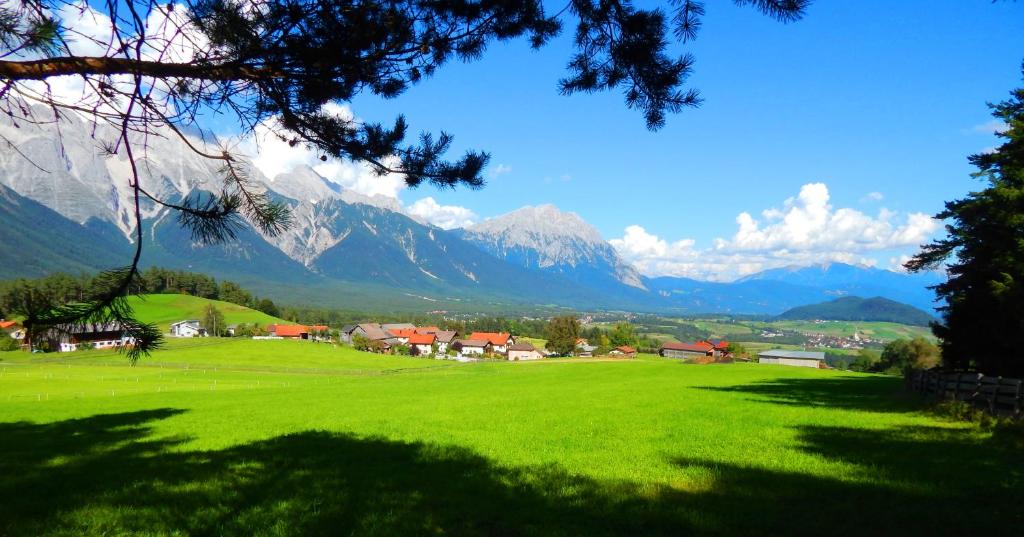 a green field with mountains in the background at Haus Thaler in Obsteig