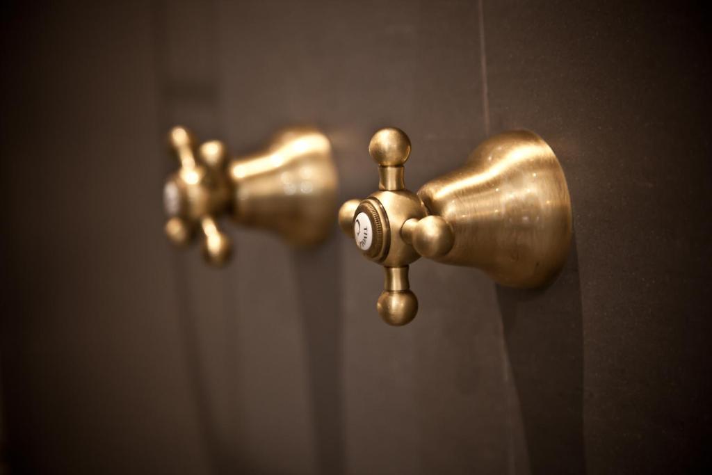 two gold faucets in a bathroom with a shower at d'Olyfboom Guest House B & B in Paarl