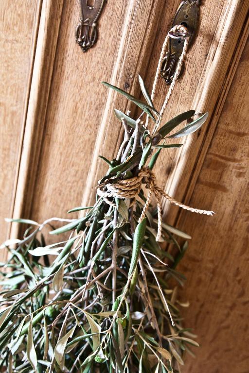 a green plant on a wooden door at d'Olyfboom Guest House B & B in Paarl
