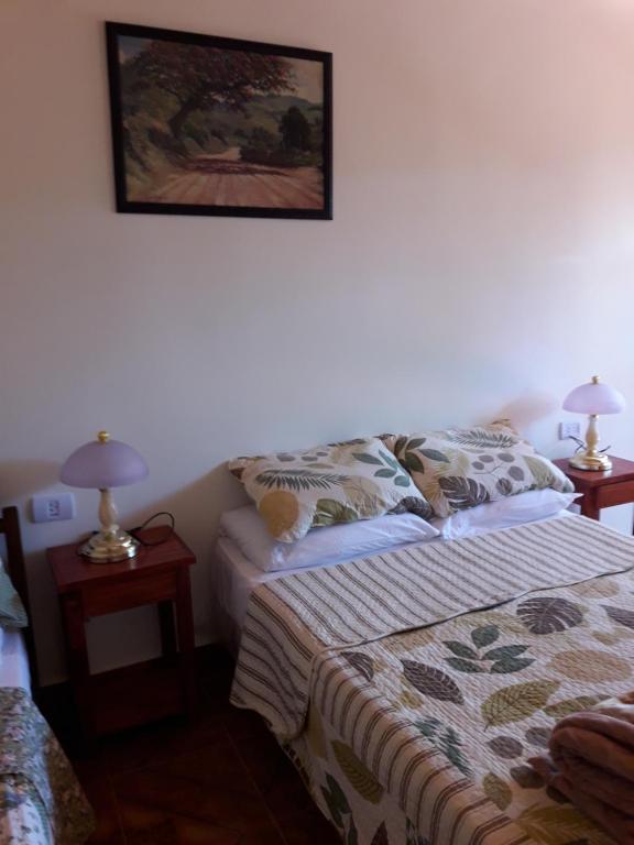 1 dormitorio con 1 cama y una foto en la pared en Apartamentos Centricos Puerto Iguazu en Puerto Iguazú