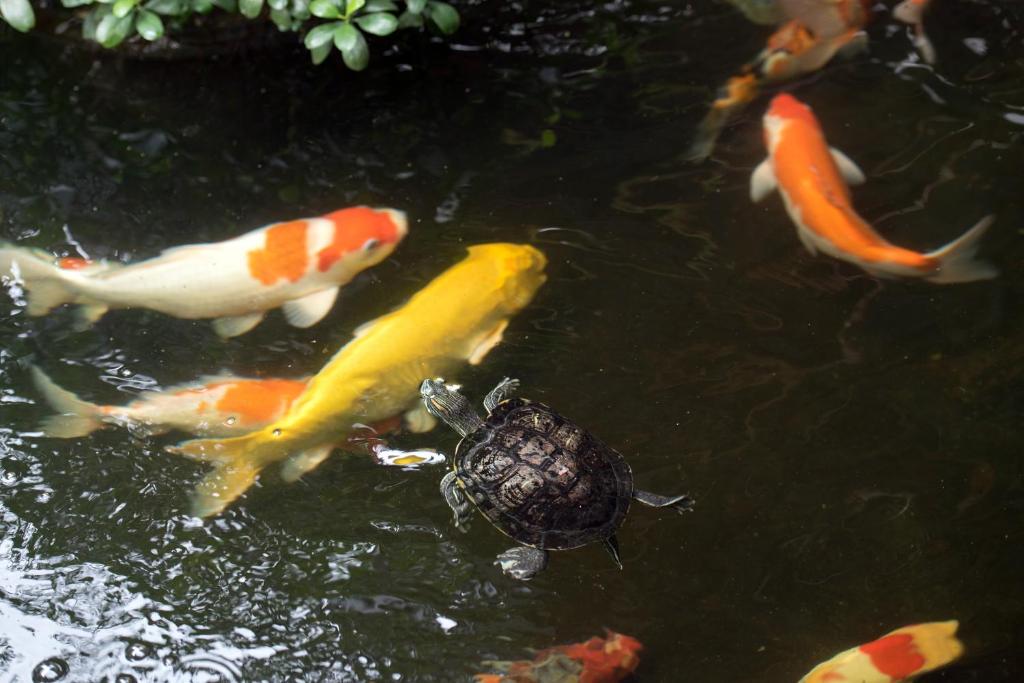 Anajak Bangkok Hotel - SHA Plus - Resim 32