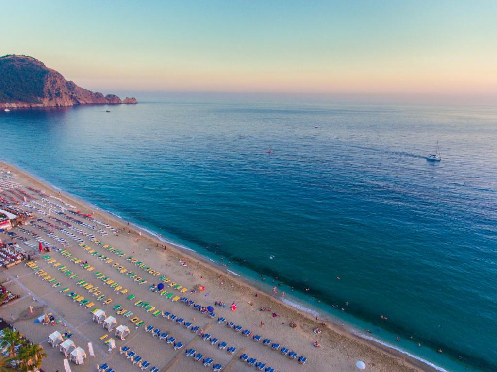 Lonicera City Hotel, Alanya (updated prices 2026)