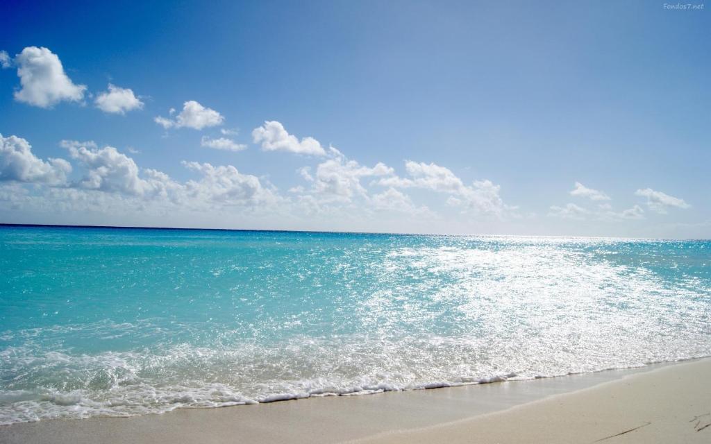 プラヤ・デ・シェラコにあるMediterránea II Xeraco Playaの海の景色を望むビーチから見渡せる客室です。