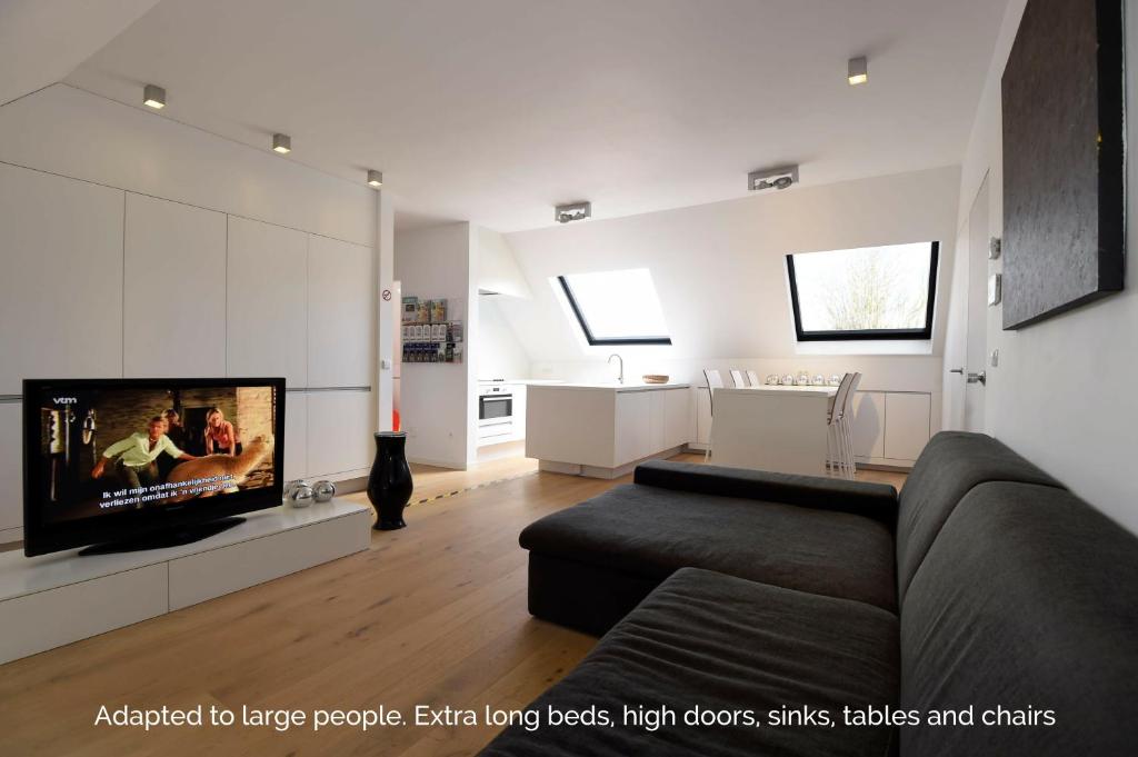 un soggiorno con divano e TV a schermo piatto di Stay in Ghent a Gand