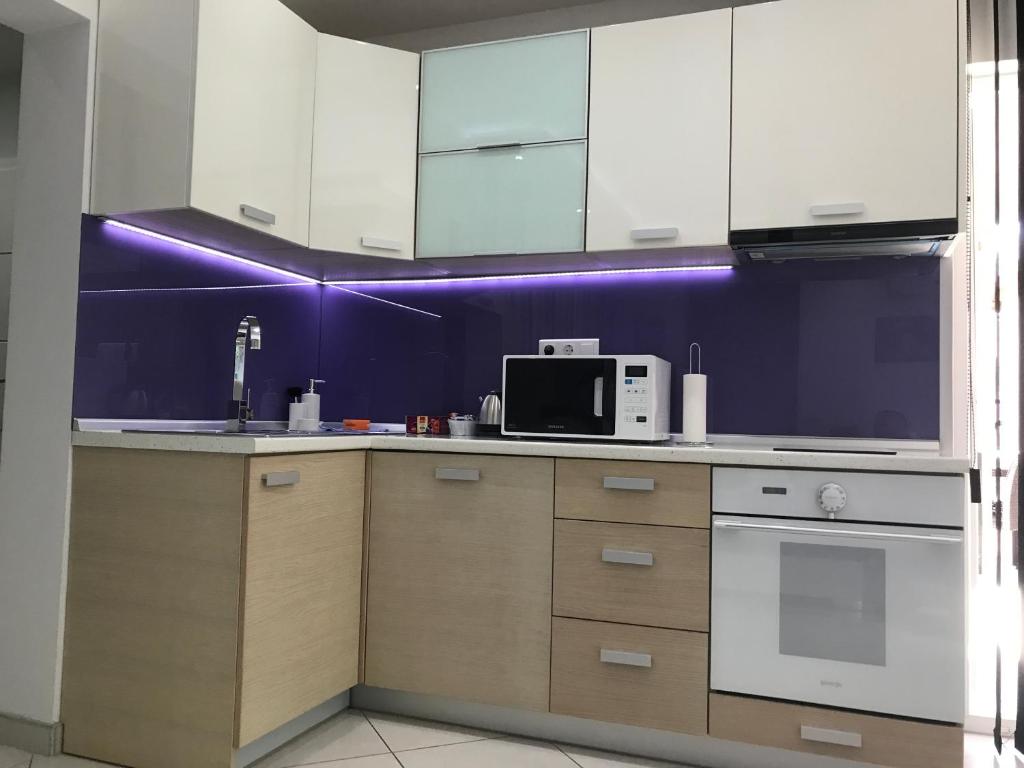 Kuchyň nebo kuchyňský kout v ubytování Apartment Ajla