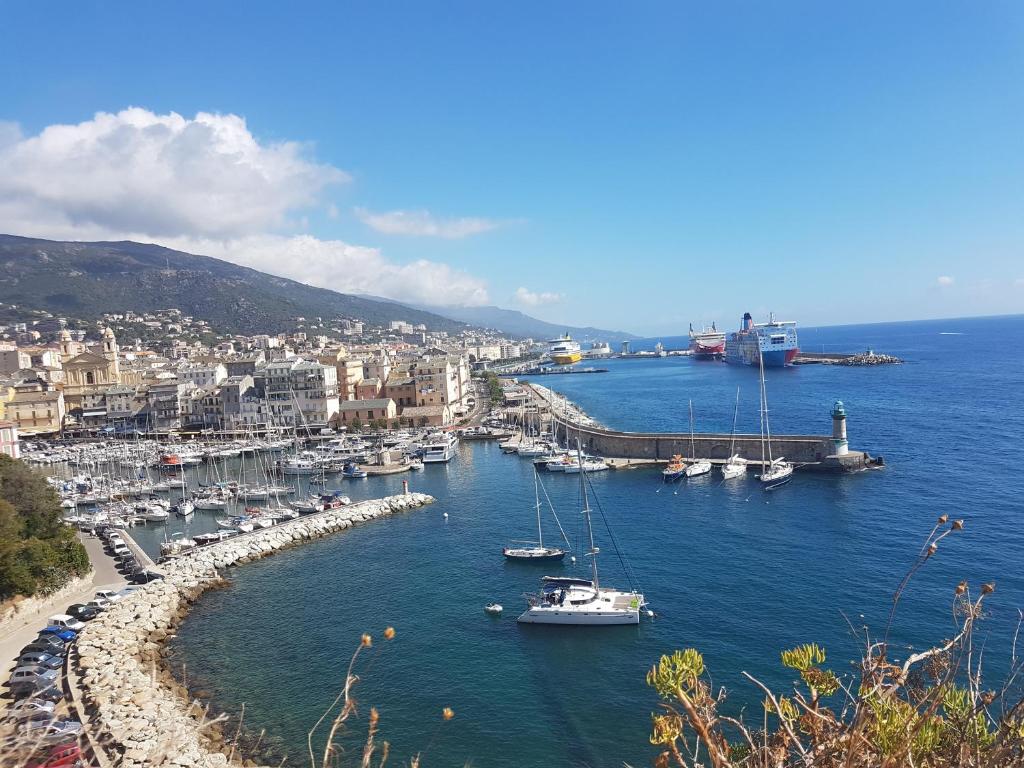 un groupe de bateaux amarrés dans un port dans l'établissement A citadella, à Bastia