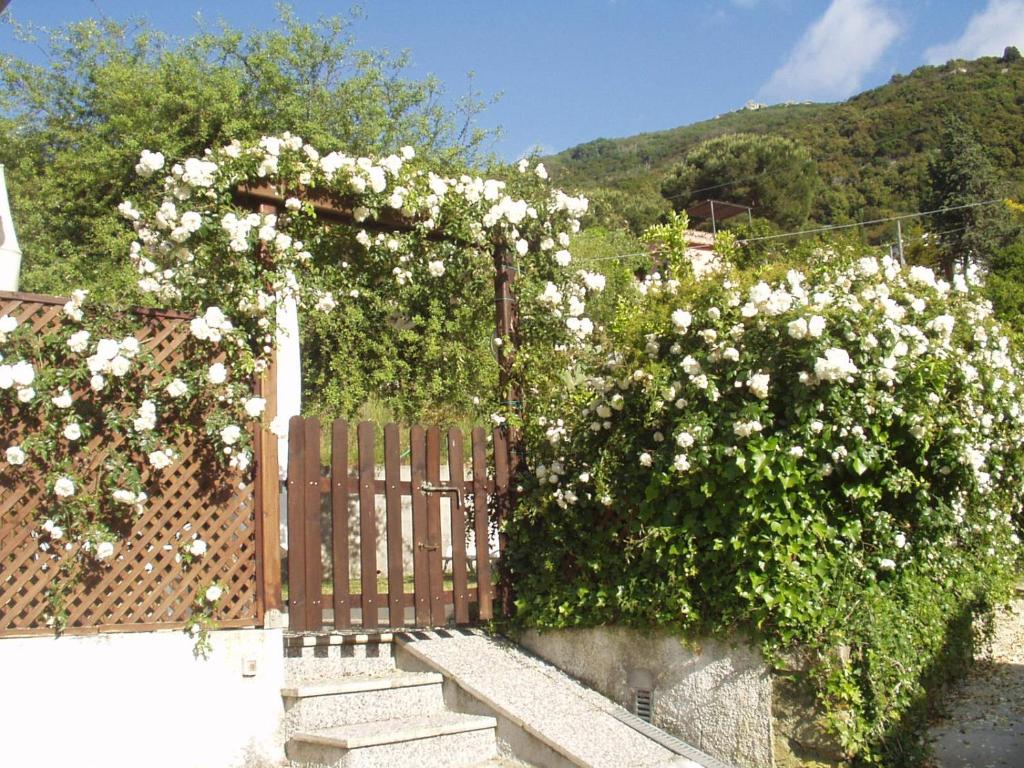 Nespecifikovaný výhled na hory nebo výhled na hory při pohledu z bed and breakfast