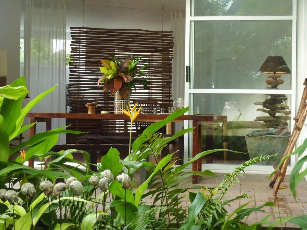 Zahrada ubytování Bliss Boutique Hotel Seychelles