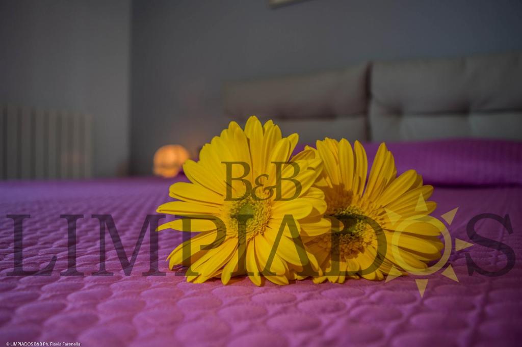 two yellow flowers sitting on top of a purple bed at Limpiados Bed & Breakfast in Licata