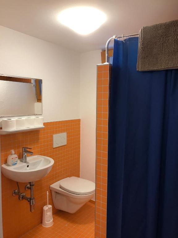 Koupelna v ubytování Rustici Maggia