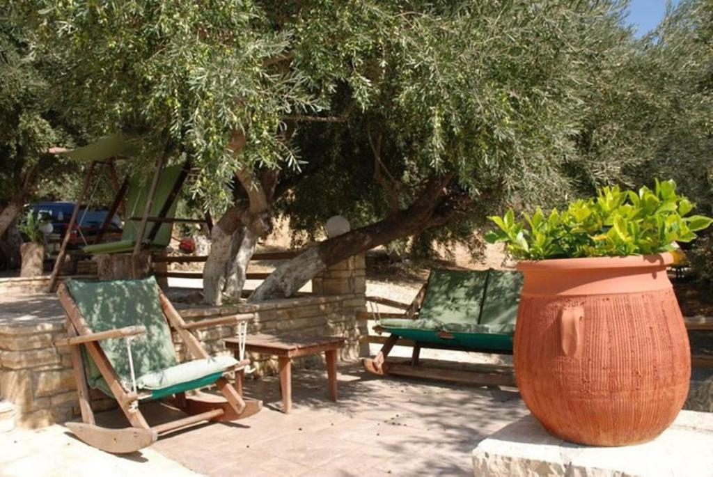 Vonkajšia záhrada v ubytovaní Olive Grove