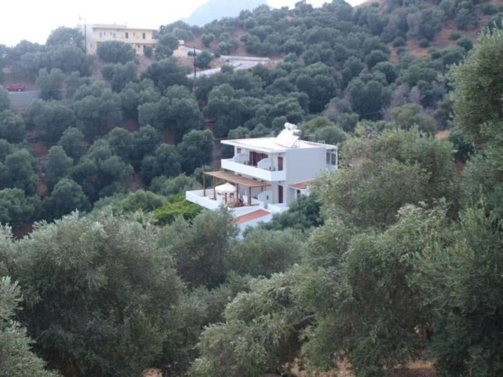 Príroda v okolí apartmánu