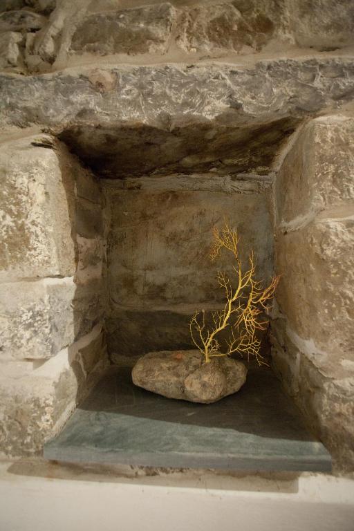 a small tree in a rock in a stone wall at Scorci Di Mare in Riomaggiore
