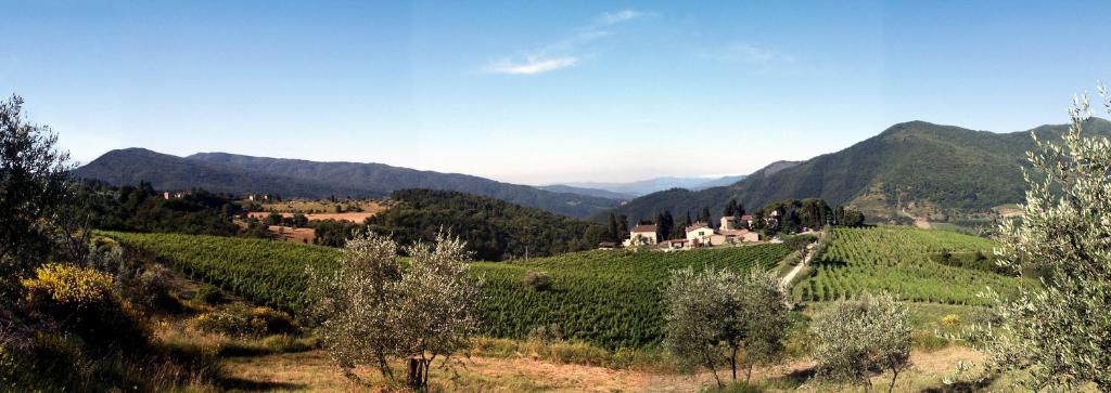 a vineyard in the mountains with a house on a hill at Frascole in Dicomano