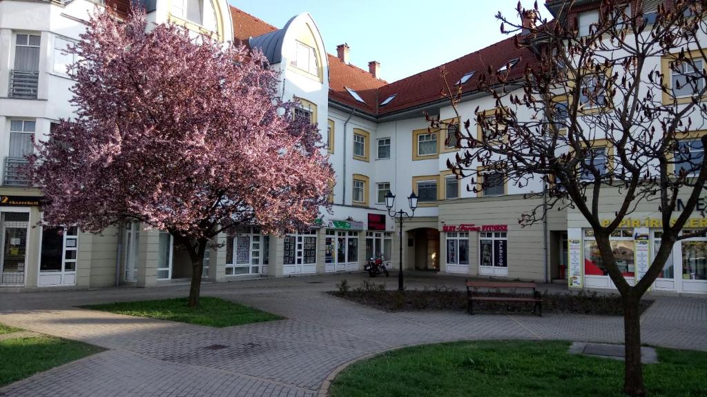 um edifício com uma árvore em frente em Erdélyi vendégház em Sárospatak