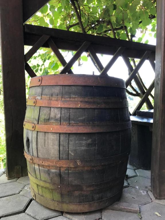 Fotografie z fotogalerie ubytování Wine & Nature & Tour v destinaci Zgornji Leskovec