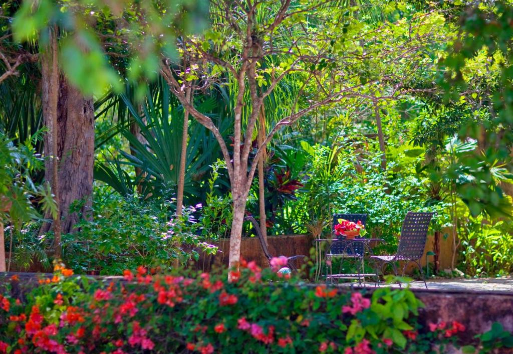 Hacienda Santa Rosa de Lima - Deluxe Twin Room