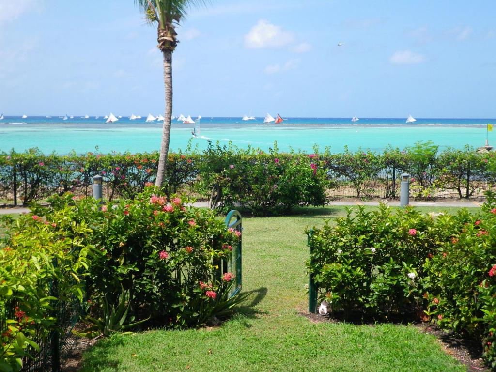 um jardim com flores e uma palmeira e o oceano em Savannah Guadeloupe em Saint-François
