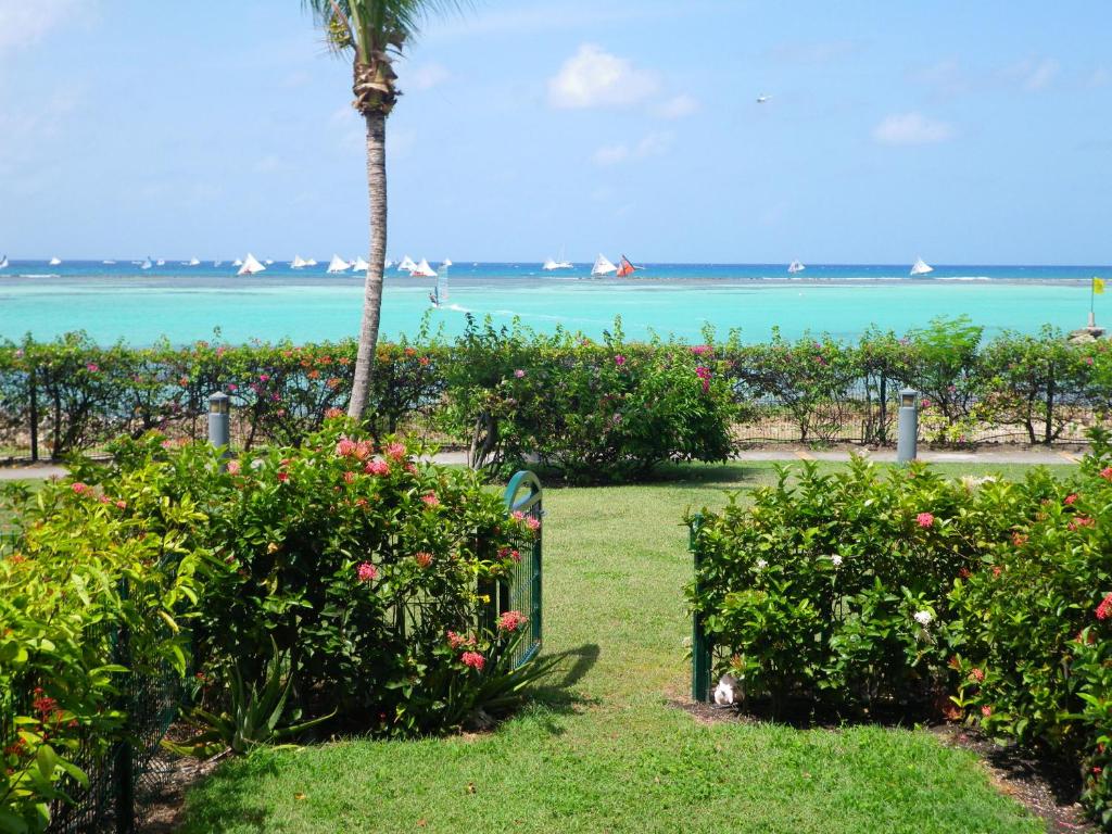 a garden with flowers and a palm tree and the ocean at Savannah Guadeloupe in Saint-François