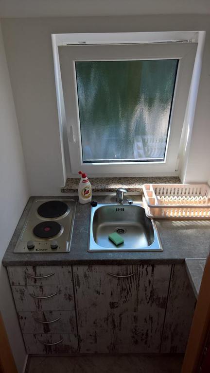 Kuchyň nebo kuchyňský kout v ubytování Apartment Poleti