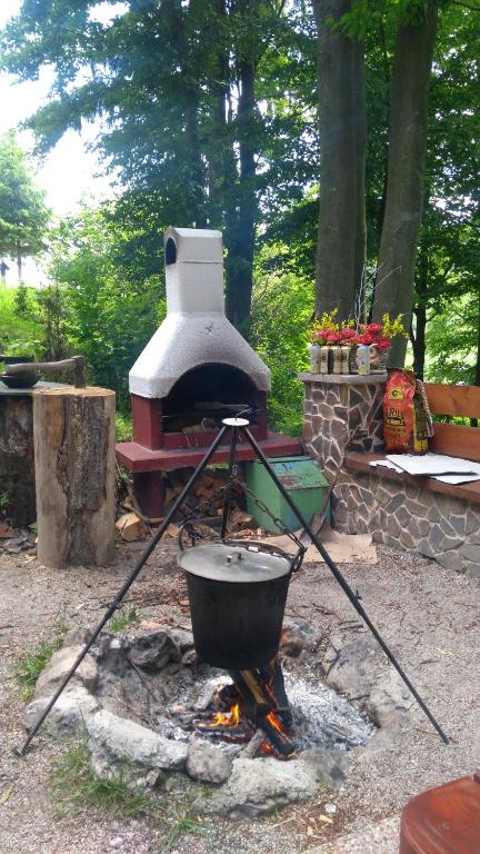 Gril pre hostí v chate v prírode